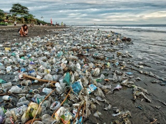 RÃ©sultat de recherche d'images pour "plage plastique"